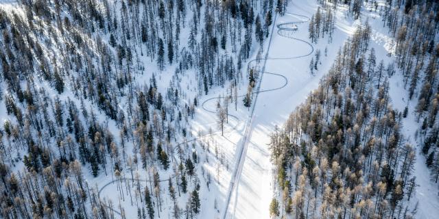 Luge du Caribou, Une luge sur ail alternant vrilles, vagues, sauts et autres chicanes... pour le plaisir de tous