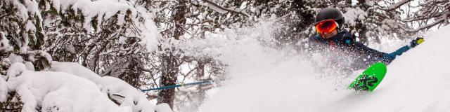 Skieur en poudreuse dans une forêt enneigée