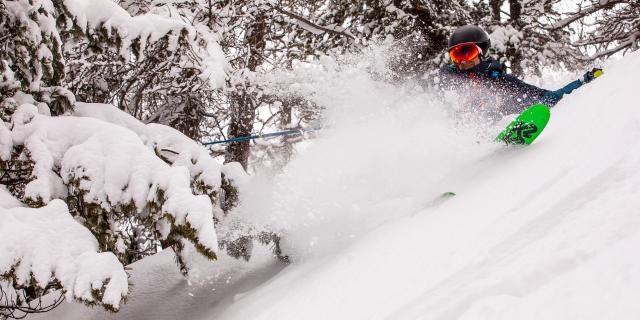 Skieur en poudreuse dans une forêt enneigée