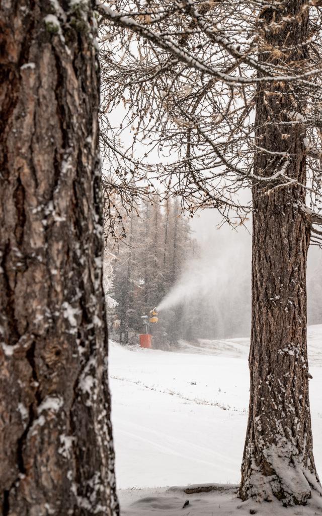 La production de neige de culture est lancée.