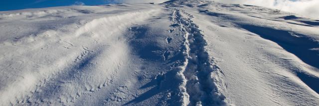 Traces en raquettes à neige