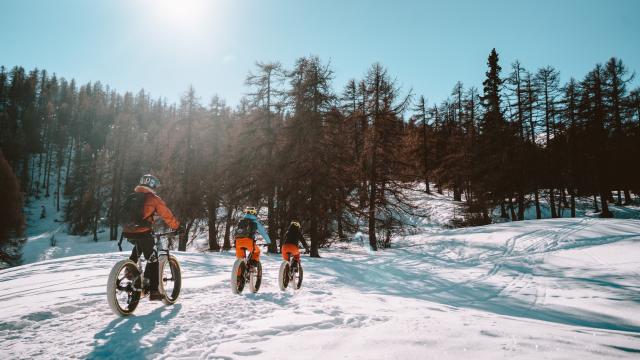 Fatbike