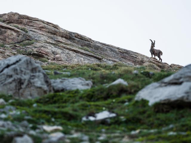 2019 260619074009 Rémi Morel Ot Vars Copie