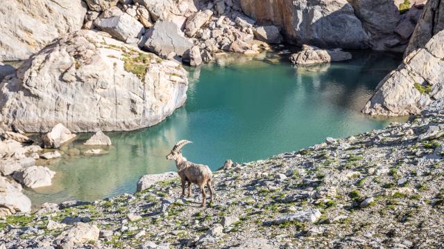 Mortice Lac Des Neufs Couleurs Lac De L'étoile31