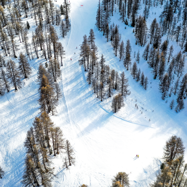 Domaines-skiables-des-Alpes-du-Sud-Vars.png