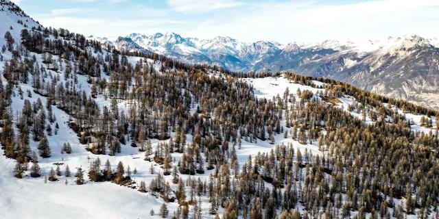 Pistes de ski Vars - Risoul