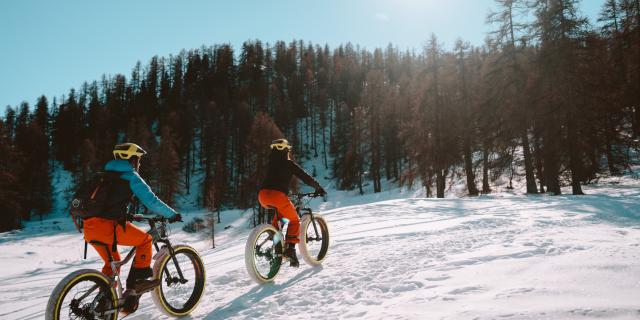 Fat Bike - Vars