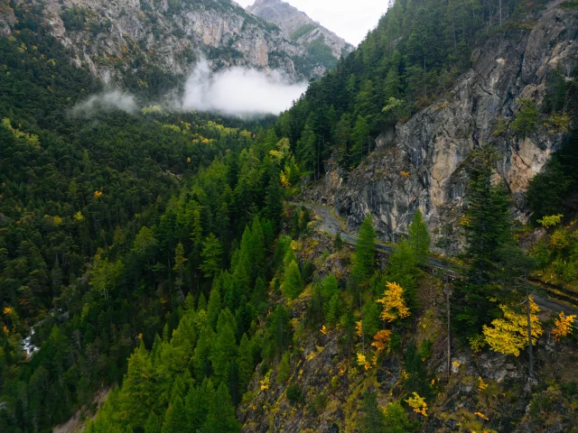 Val d'Escreins en automne