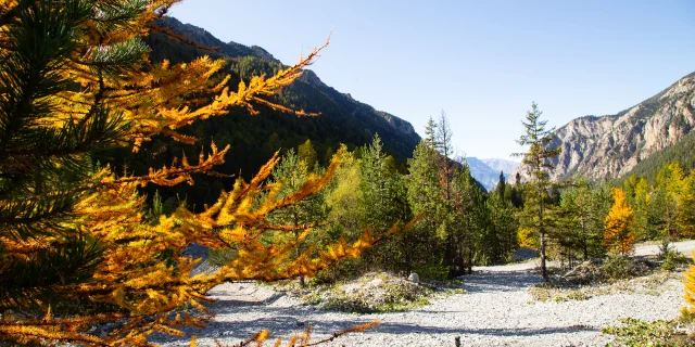 Le Val d'Escreins en automne