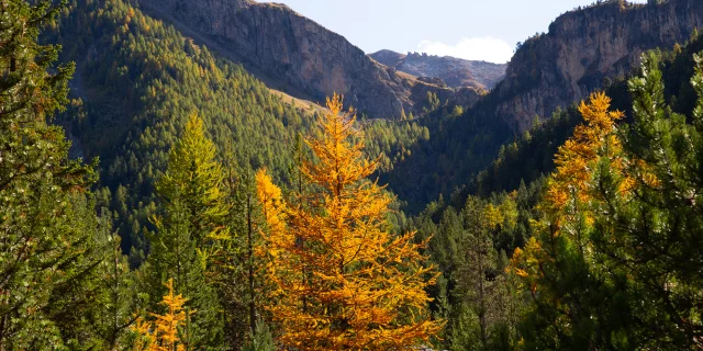 Val d'Escreins en automne