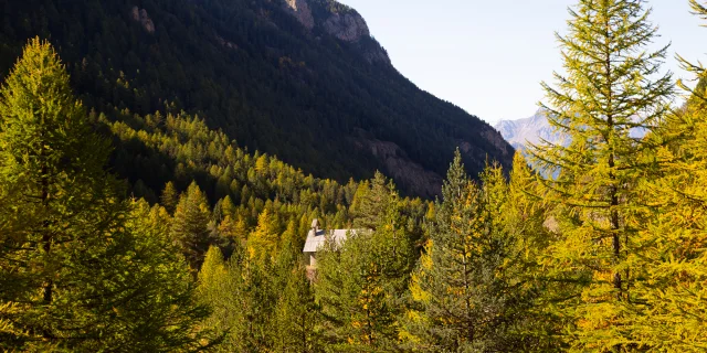 Val d'Escreins en automne