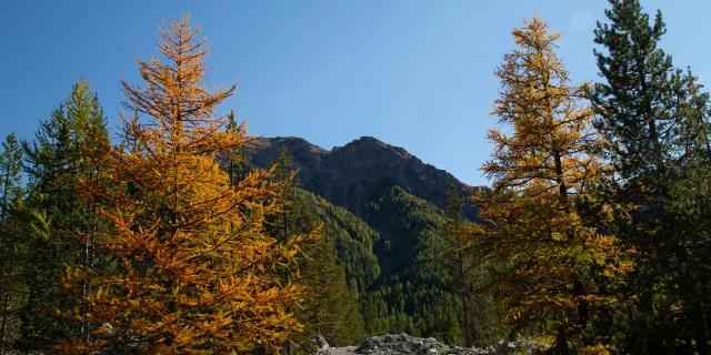 Le Val d'Escreins en automne