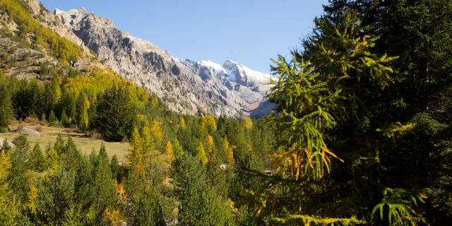 Val d'Escreins en automne