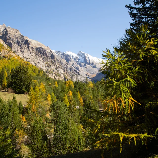 Val d'Escreins en automne