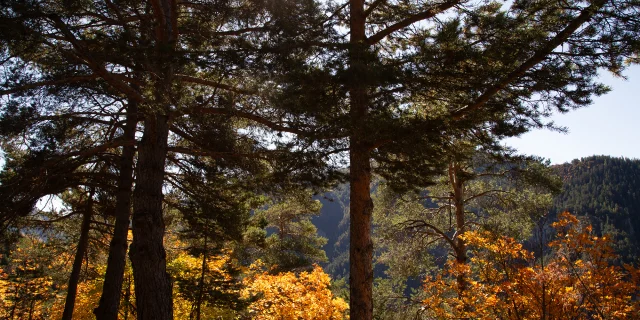 Le Val d'Escreins en automne