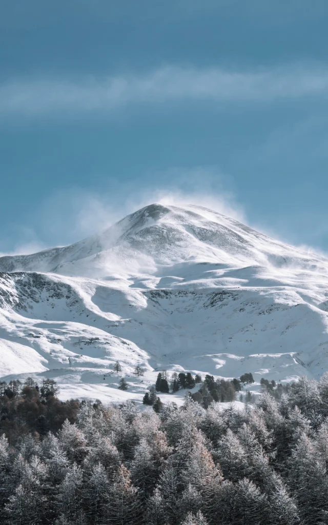 Chute De Neige 20 Novembre