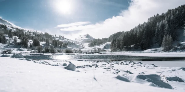 Chute De Neige 20 Novembre