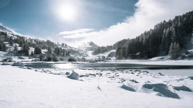 Chute De Neige 20 Novembre