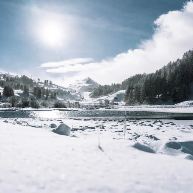 Chute De Neige 20 Novembre