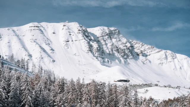 Chute De Neige 20 Novembre