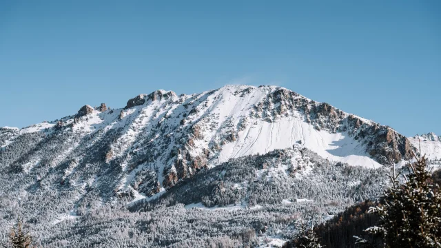 Chute De Neige 20 Novembre