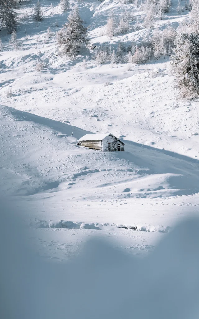 Chute De Neige 20 Novembre