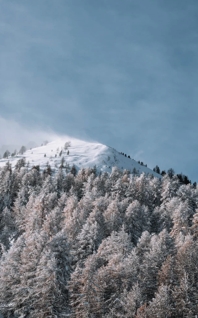 Chute De Neige 20 Novembre