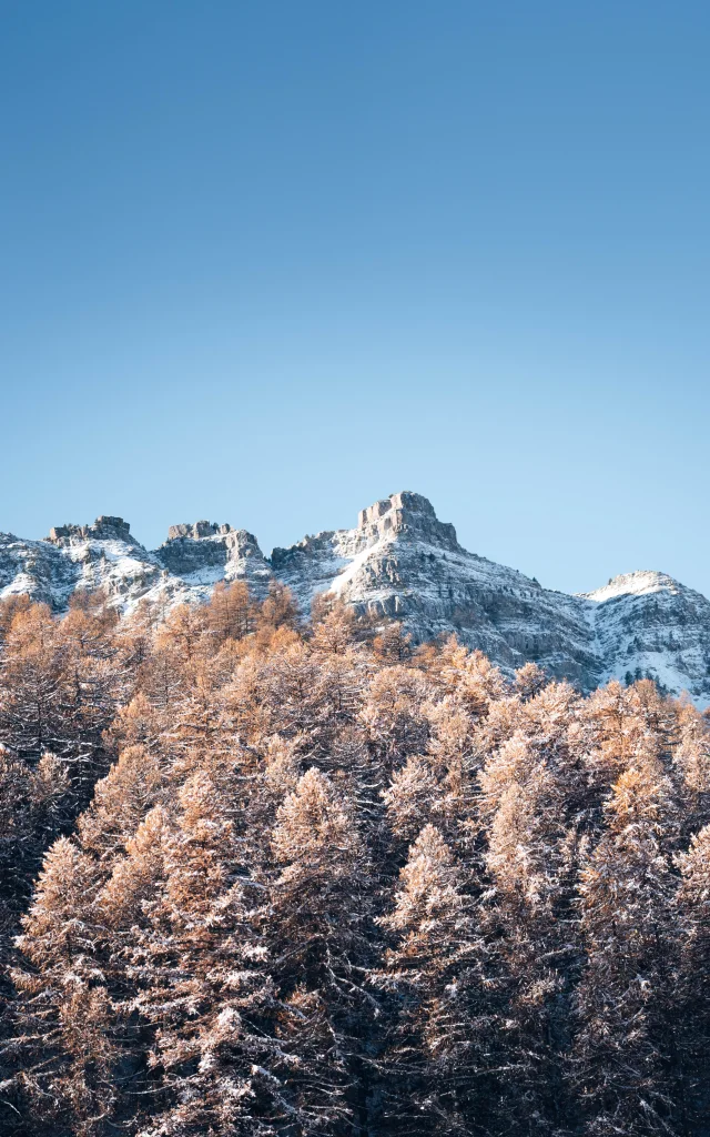 Vars Chute De Neige 13 Nov 2024